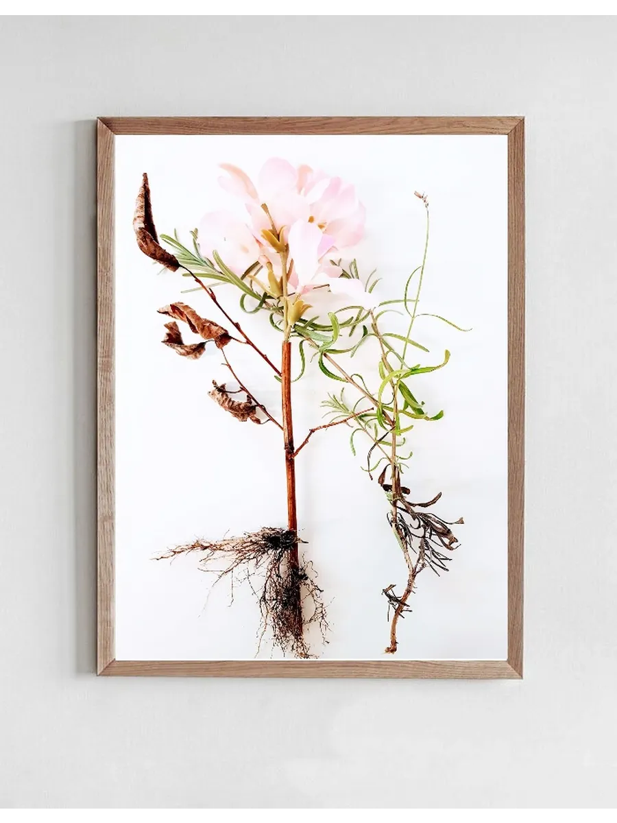 Botanical Remix