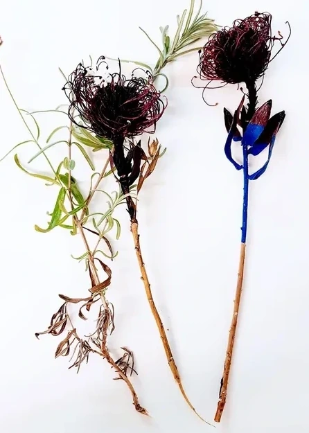 Botanical Remix