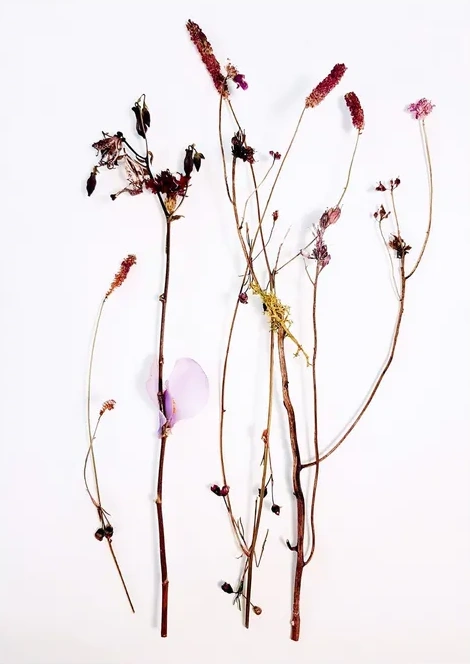 Botanical Remix