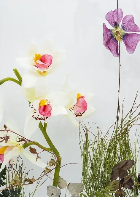 Botanical Remix