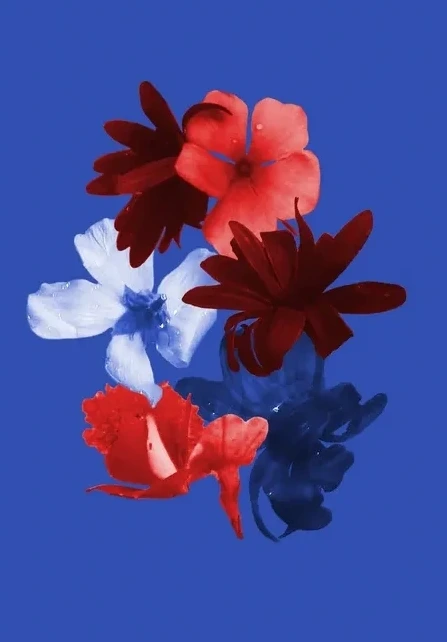 Bouquet 2