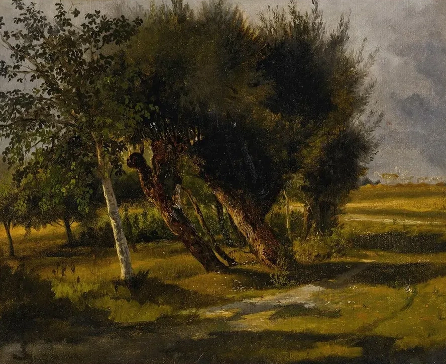 Bouquets D Arbres Dans La Prairie