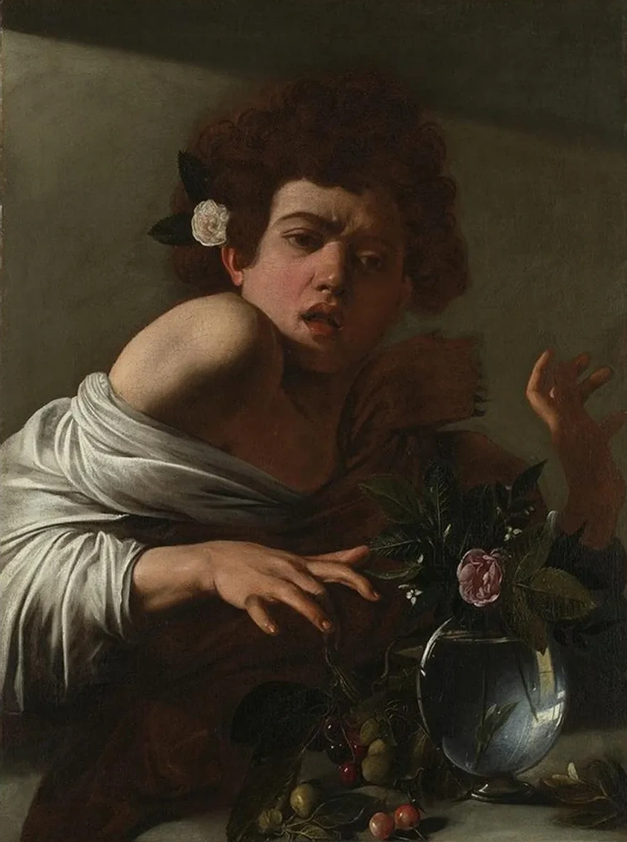 Boy Bitten by a Lizard