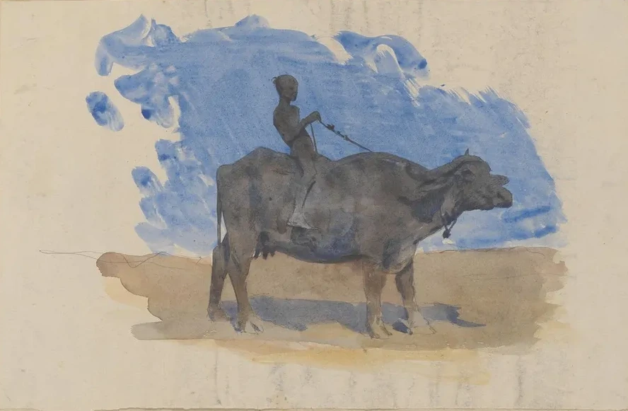 Boy on Water Buffalo