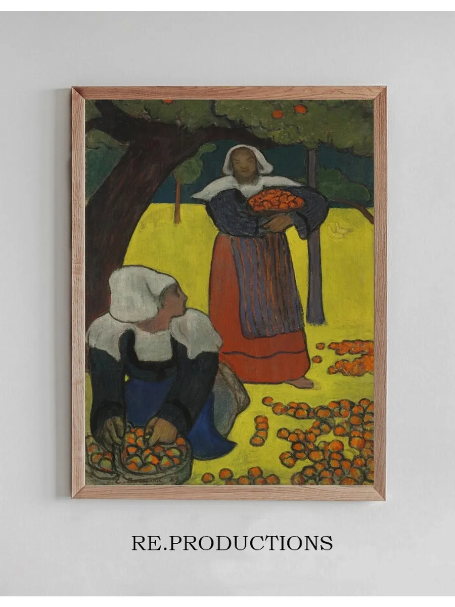 Bretonnes Ramassant Des Pommes