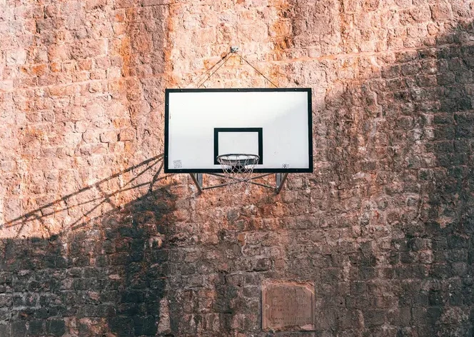Bricks