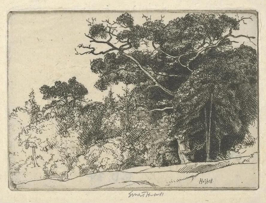 Brown's Oak