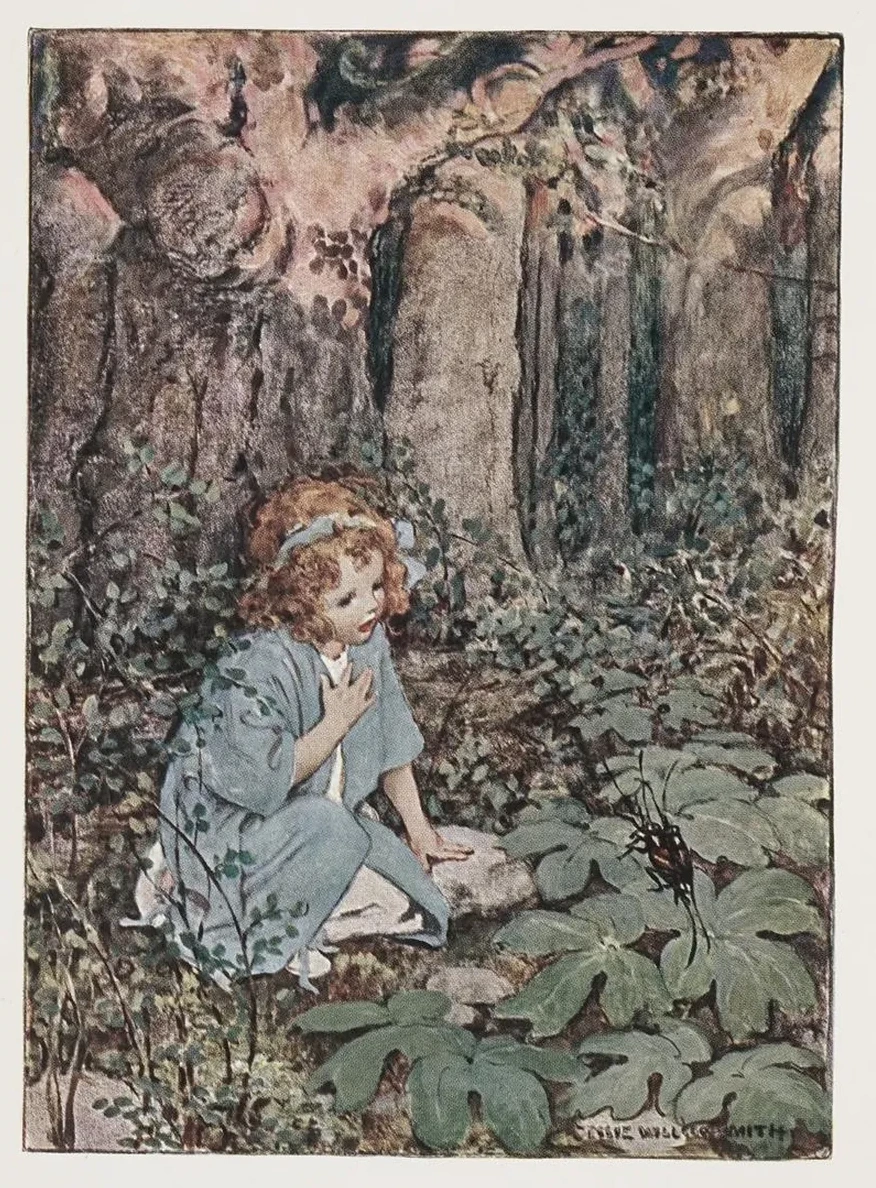 Bugs and Wings and Other Things Frontispiece
