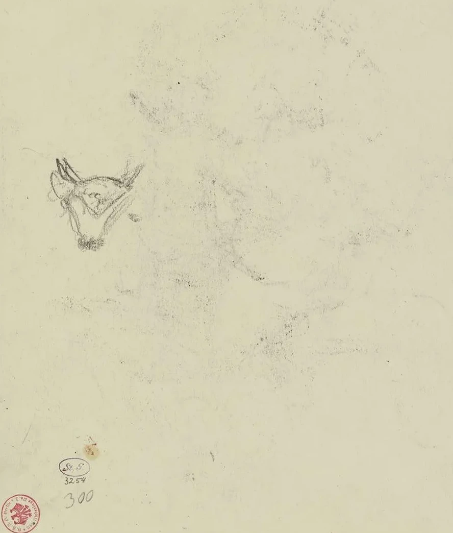 Bull's Head