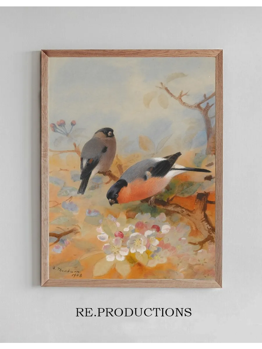Bullfinches