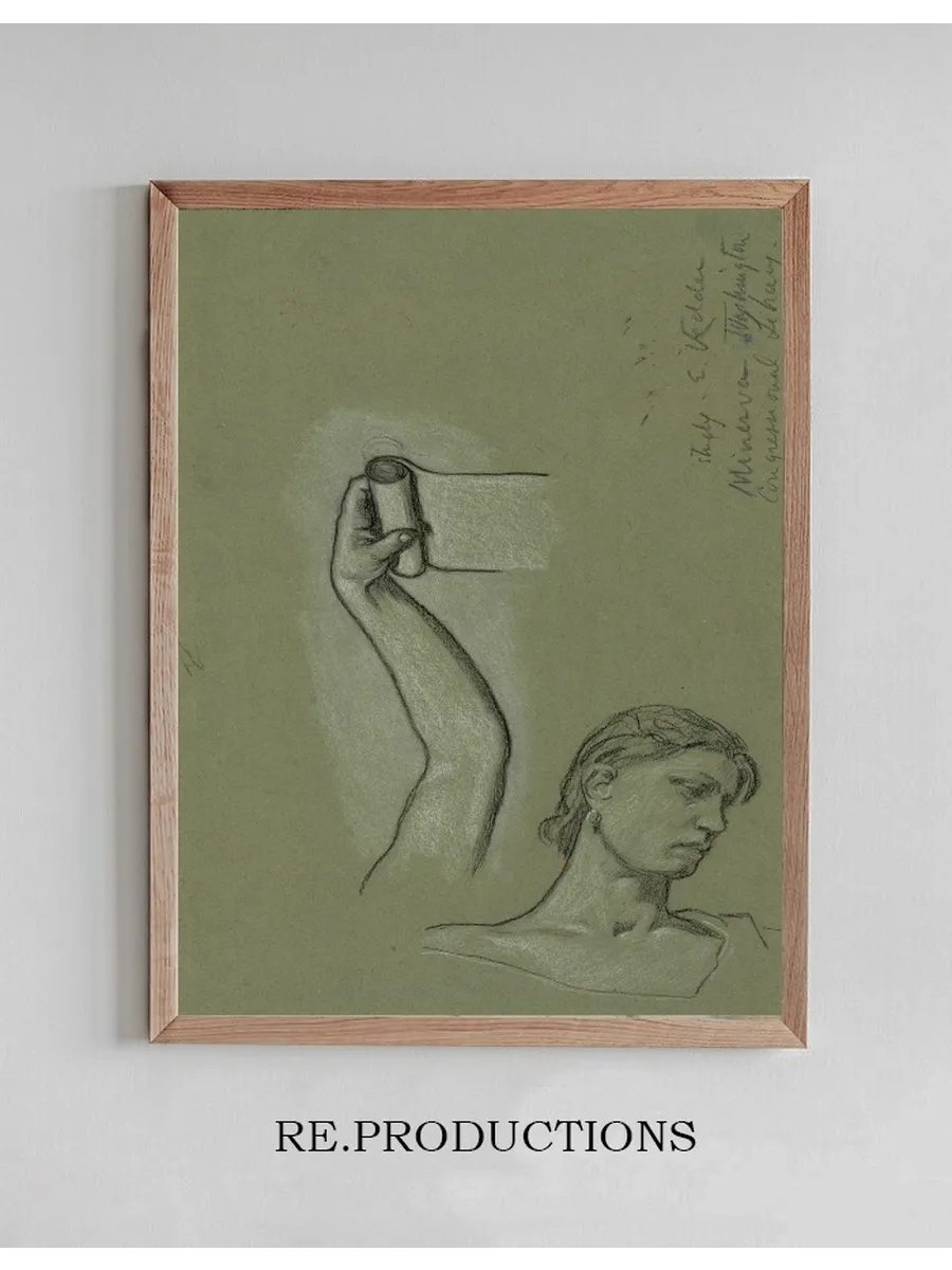Bust and Shoulders of Minerva