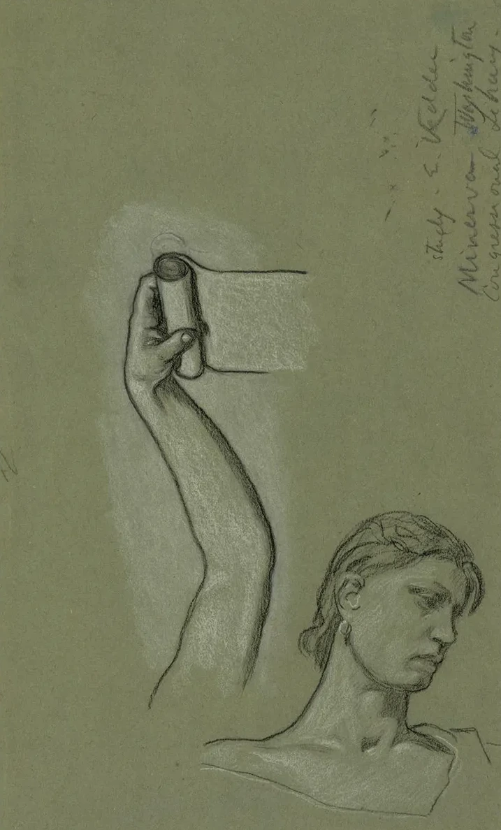 Bust and Shoulders of Minerva