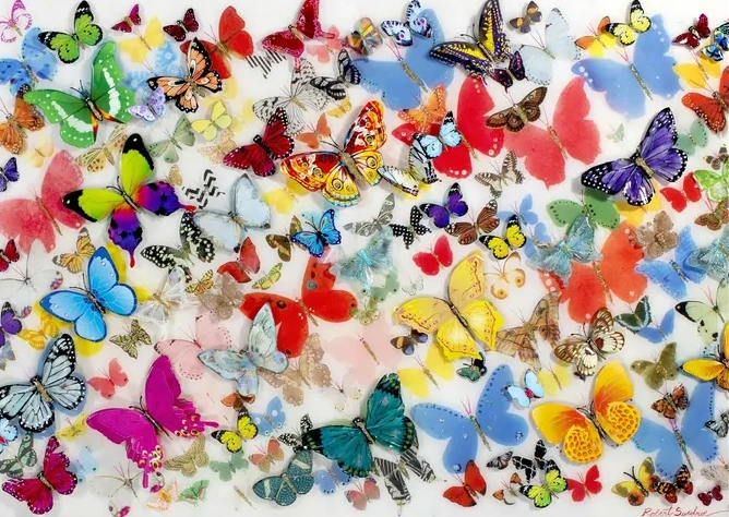 Butterflies of the World