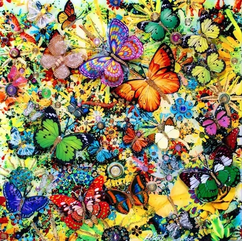 Butterfly Spring