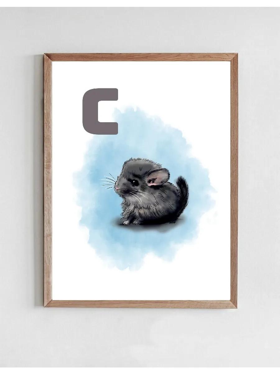 C Blue Chinchilla