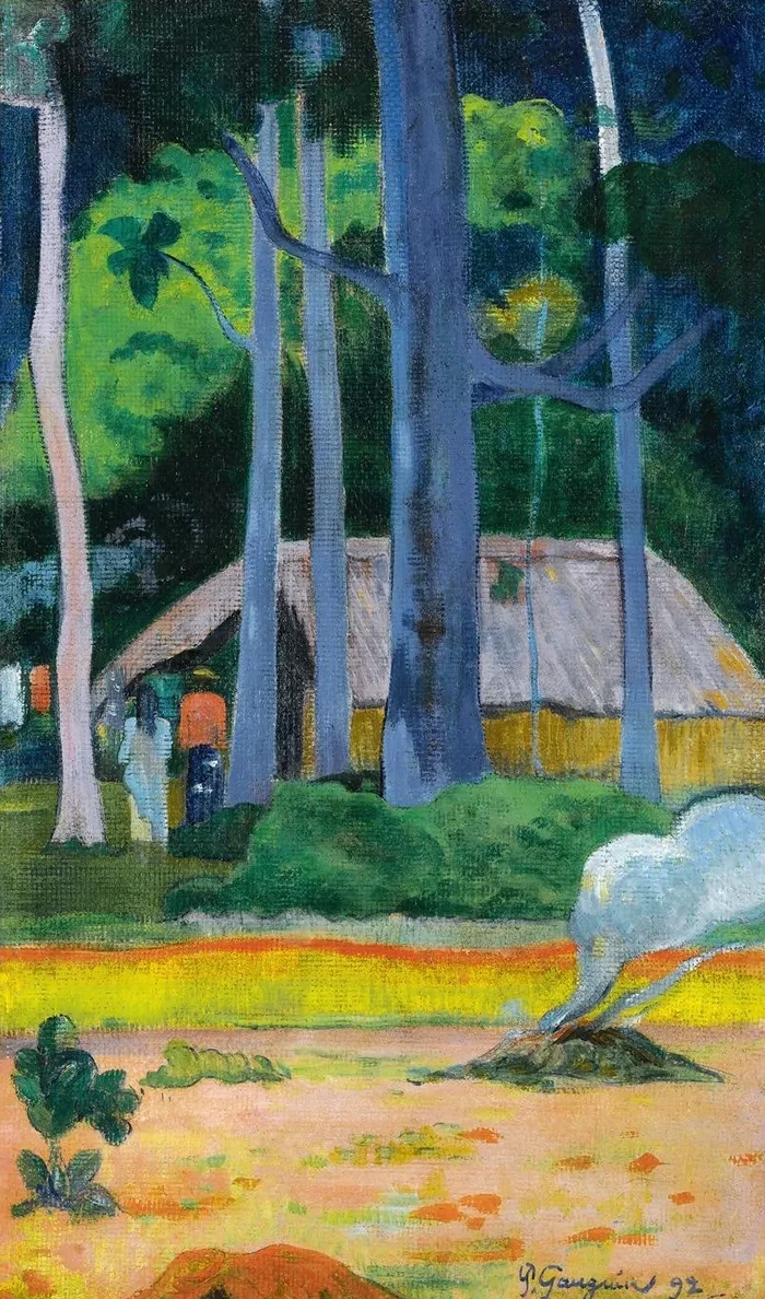 Cabane Sous Les Arbres