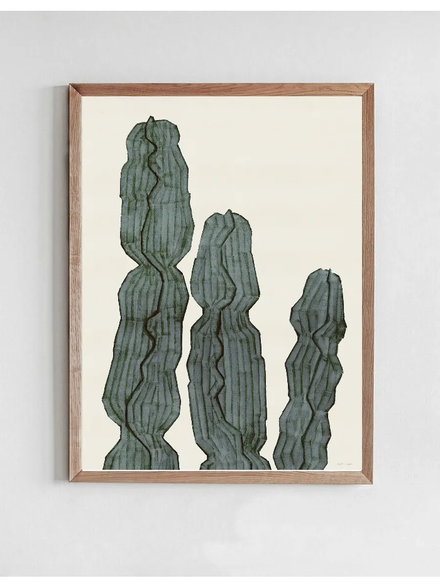 Cactus Euphorbia