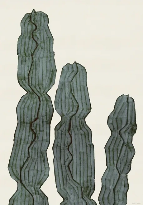 Cactus Euphorbia