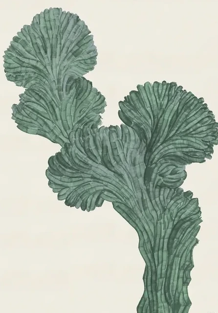 Cactus Myrtillo