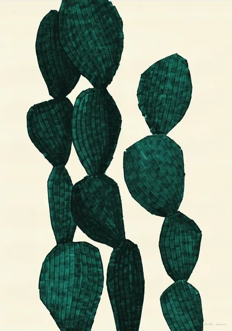 Cactus Opuntia Green