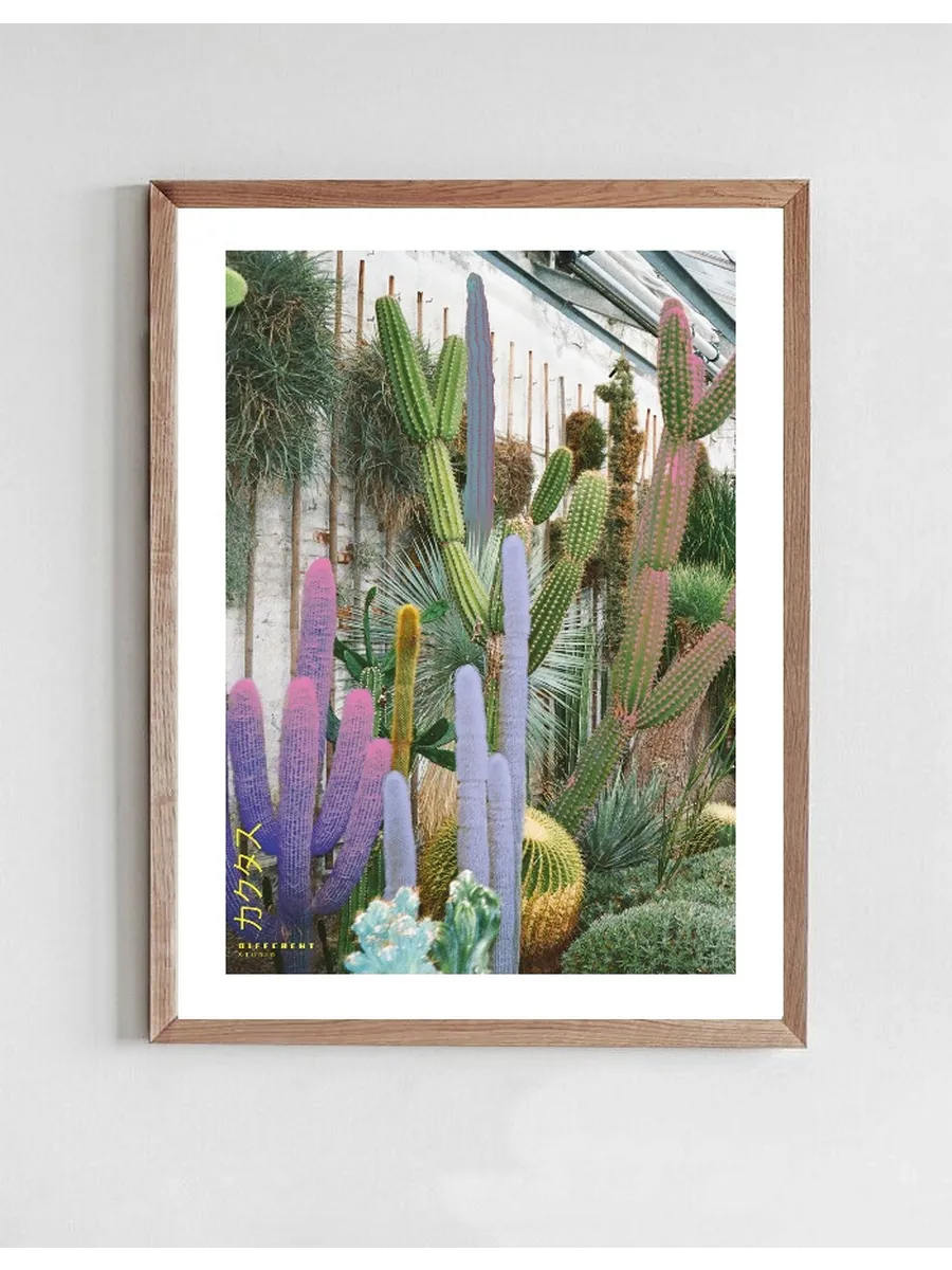 Cactus