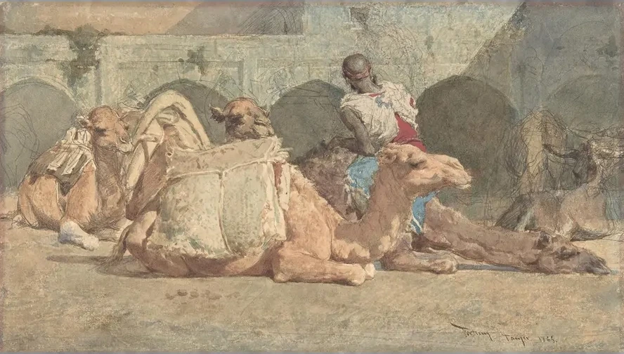 Camels Reposing, Tangiers