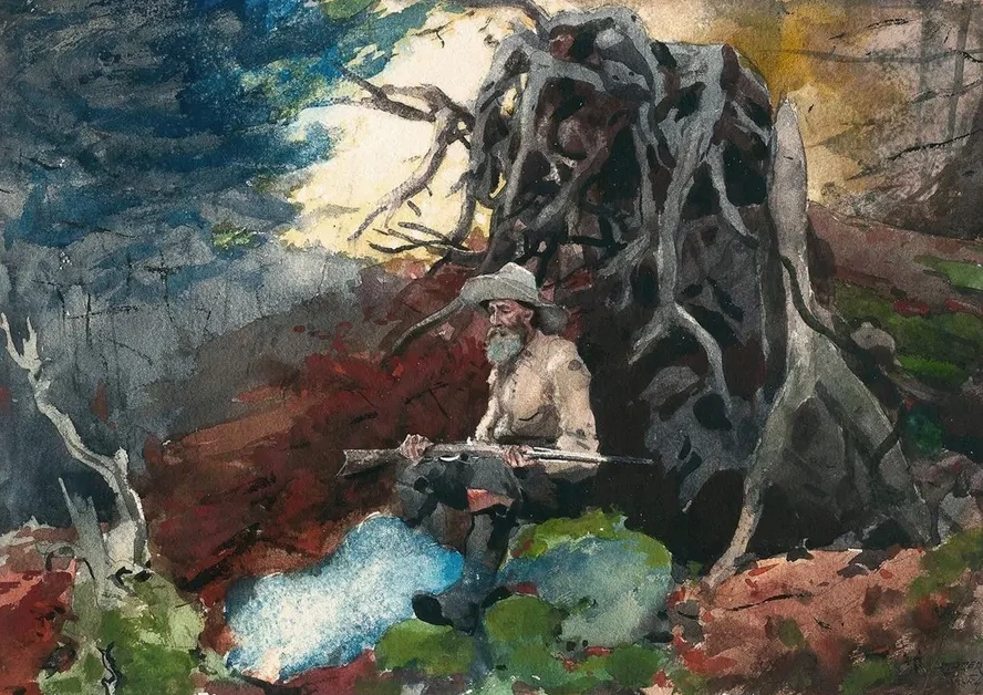 Campfire, Adirondacks