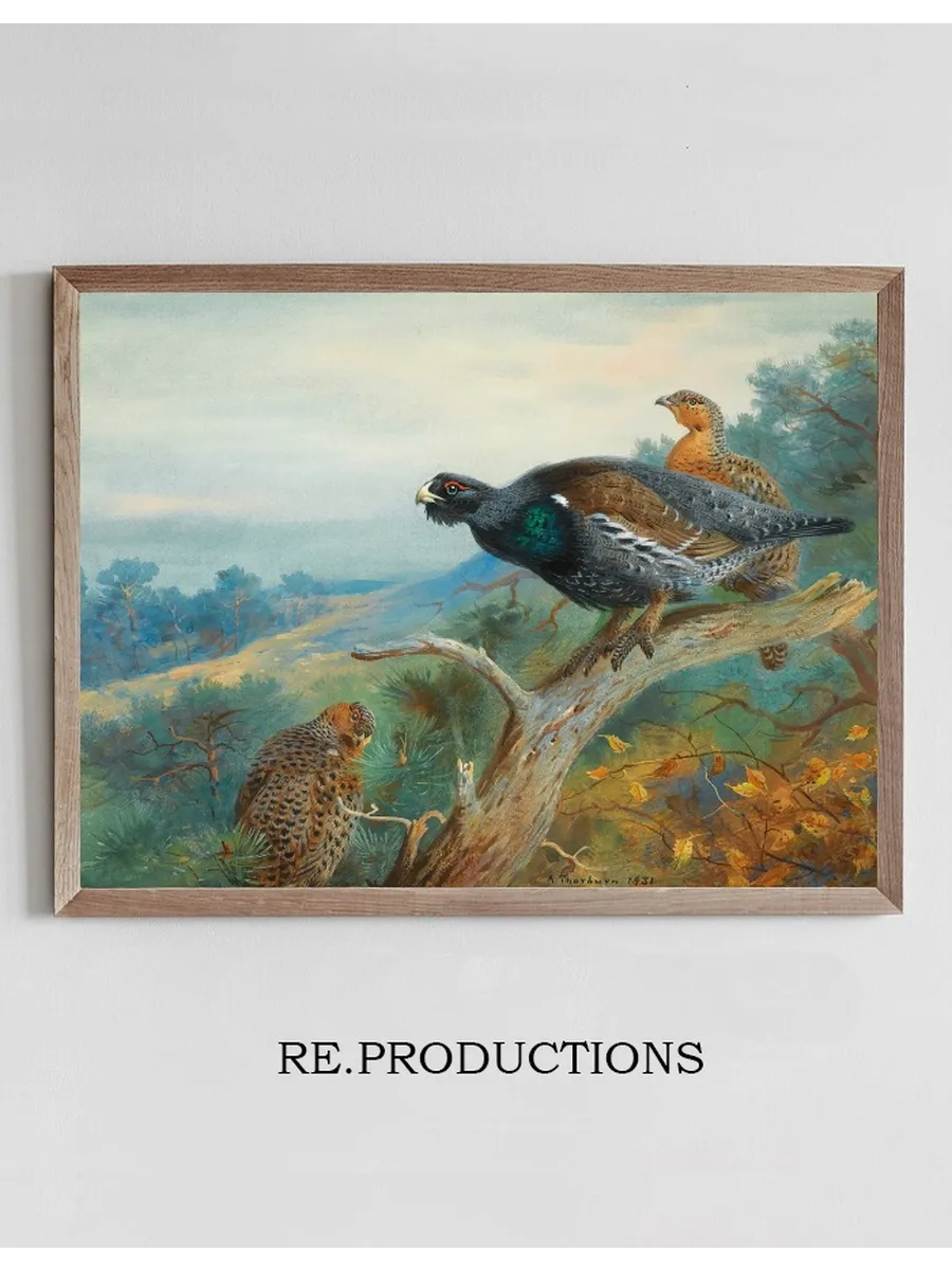 Capercaillie