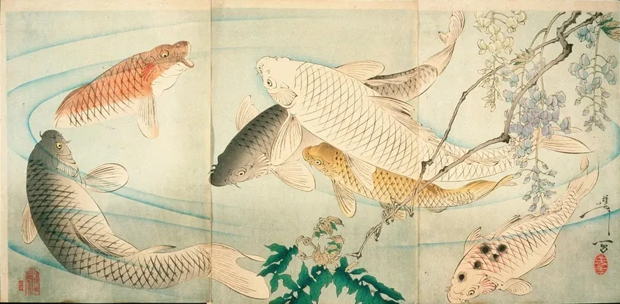 Carp with Wisteria