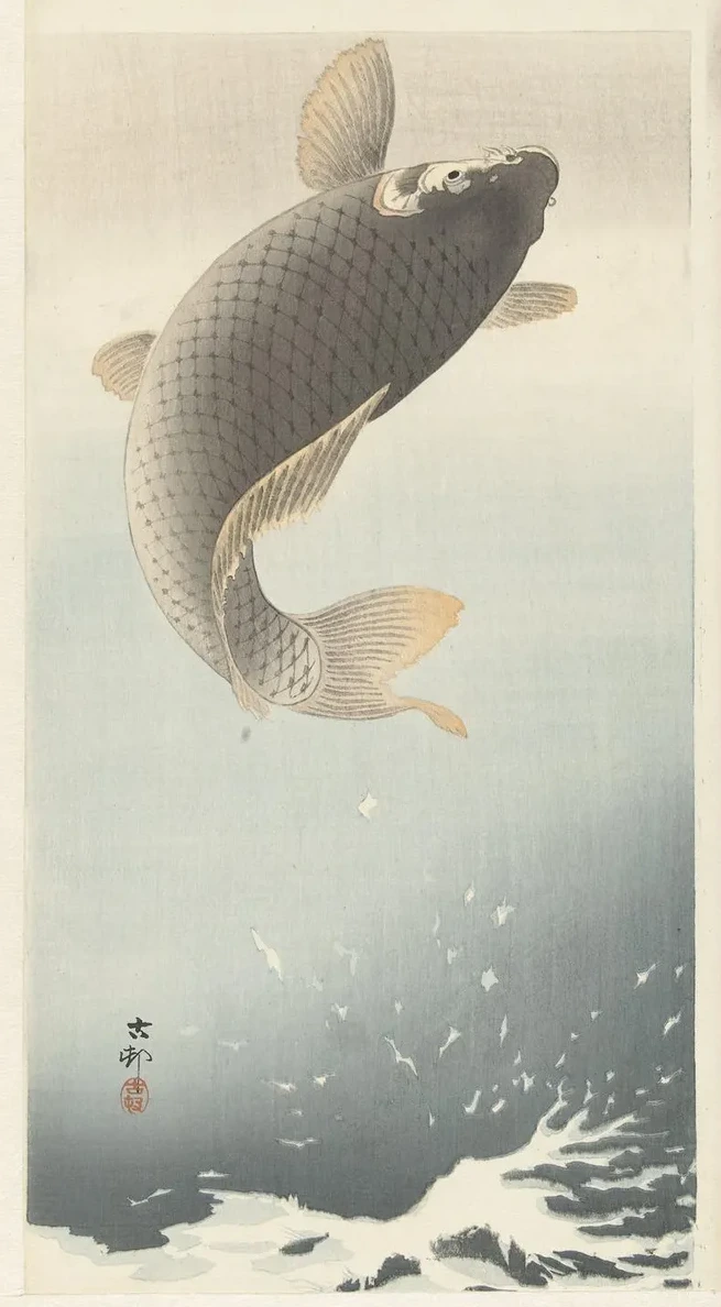Carp