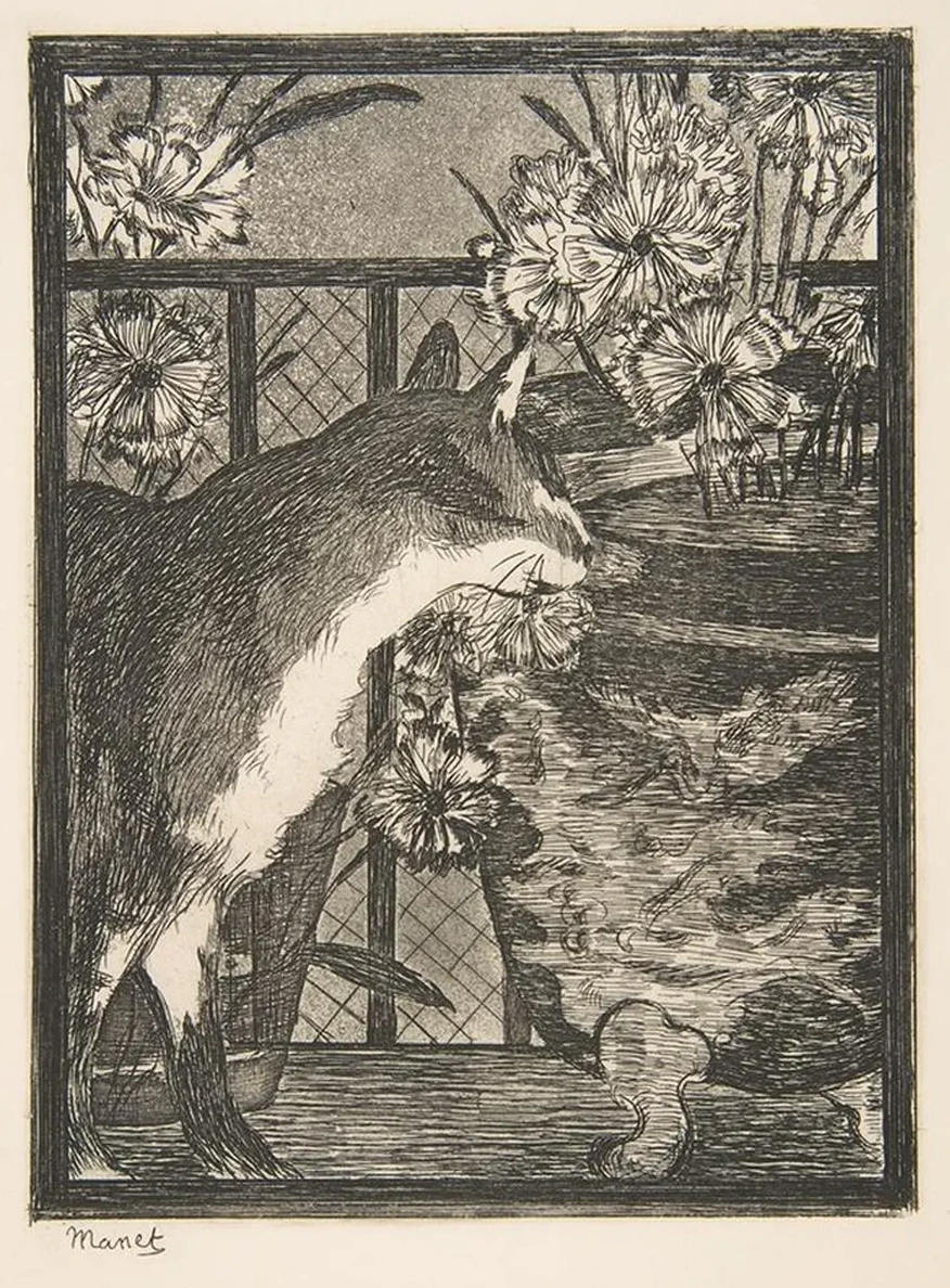 Cat and Flowers