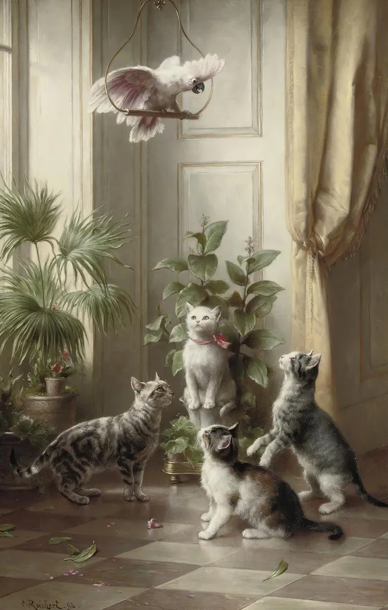 Cats and the Cockatoo