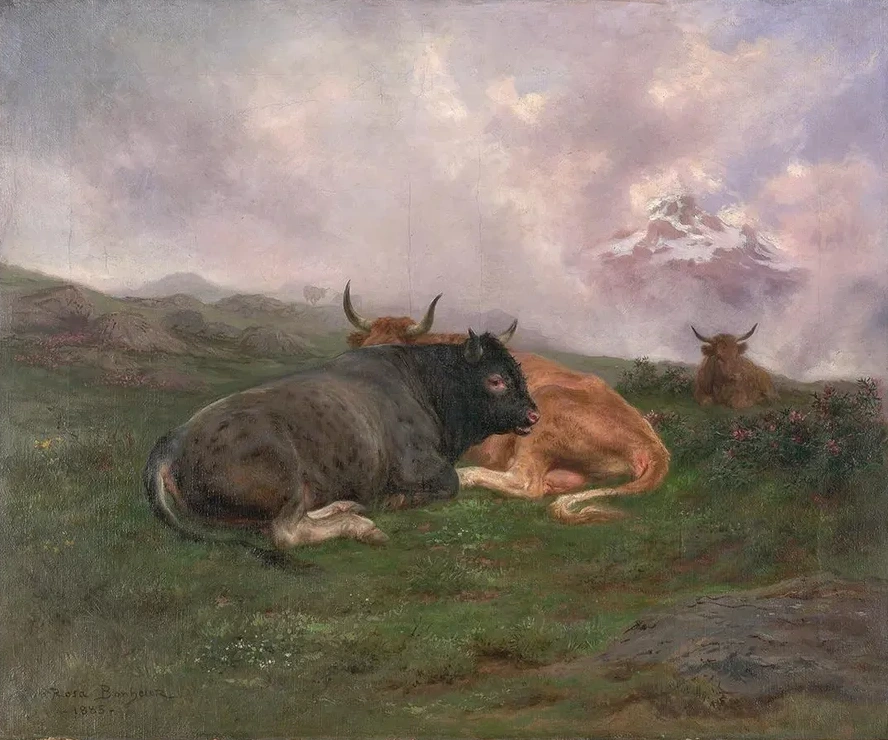 Cattle at Rest on a Hillside in the Alps