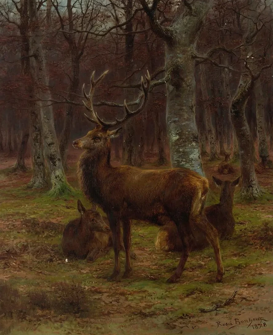 Cerf et Biches Dans la for T, Automne
