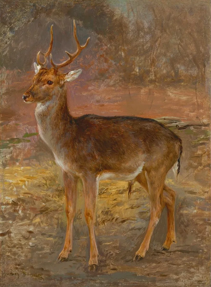 Cerf