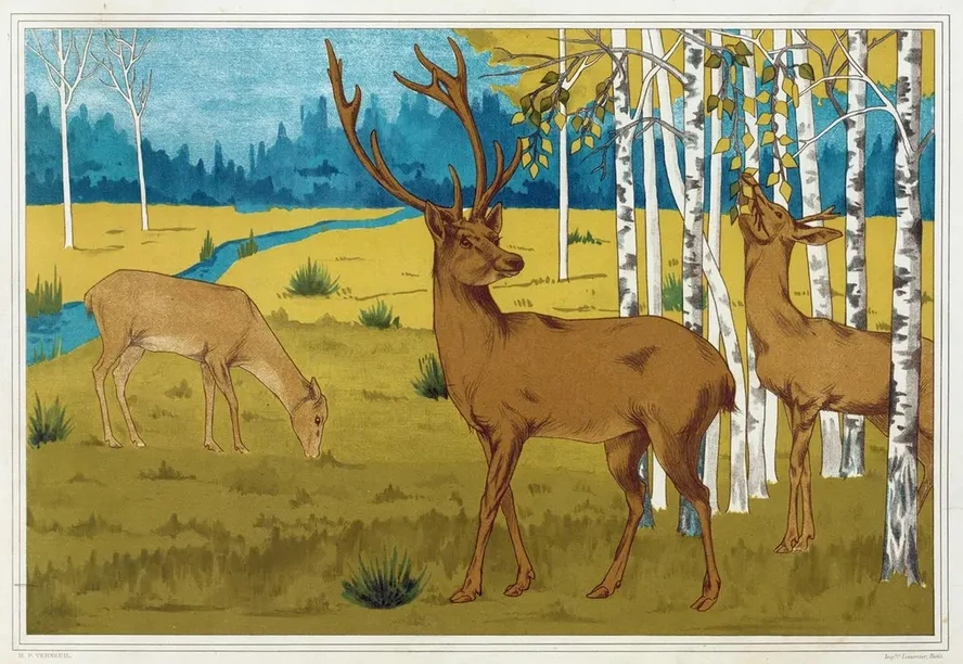 Cerfs