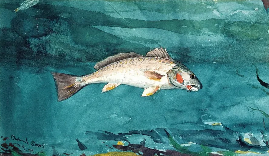 Channel Bass