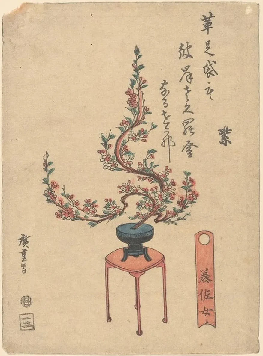 Cherry Flowers in Blue Pot on Stand