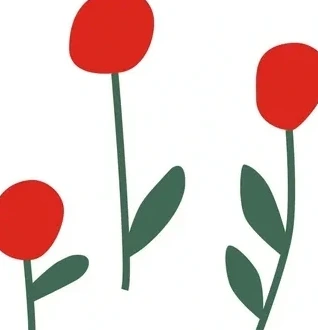 Cherry Flowers
