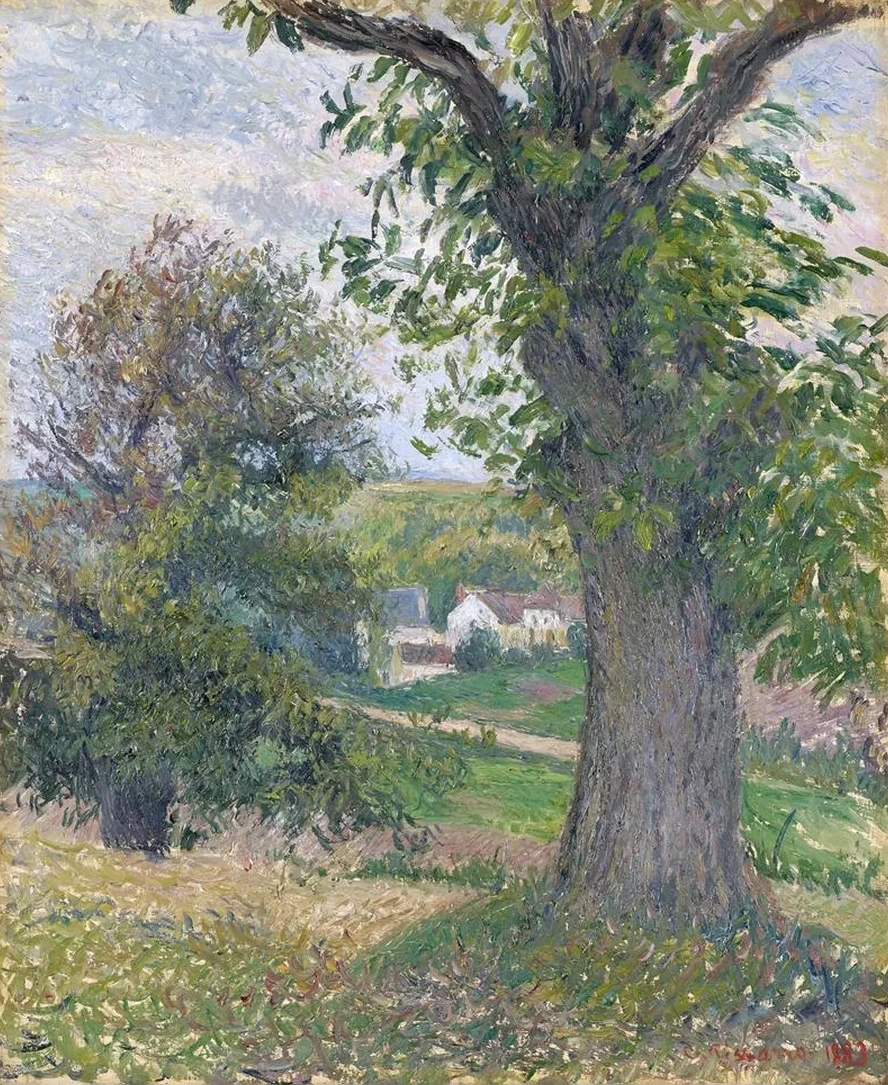 Chestnut Trees in Osny