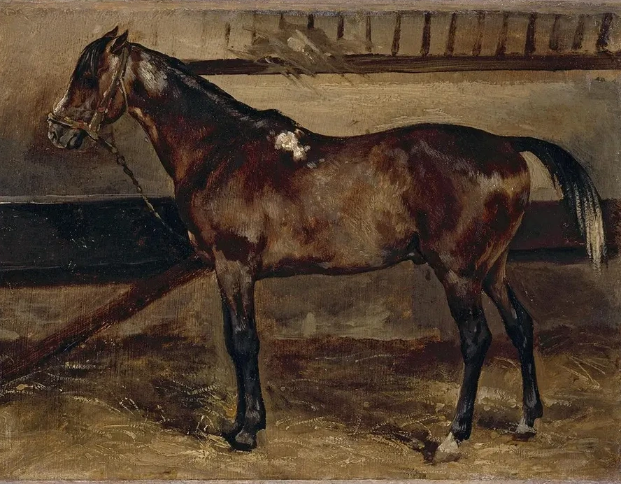 Cheval Brun L Curie