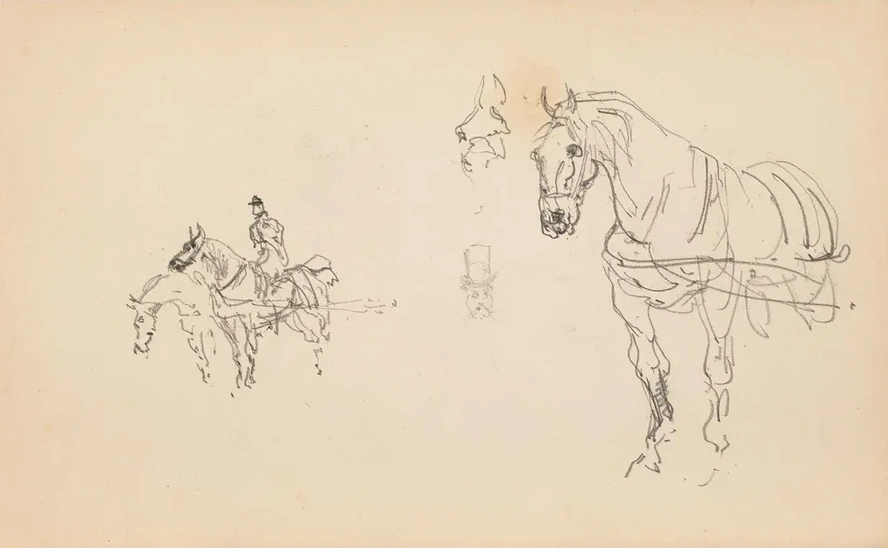 Chevaux