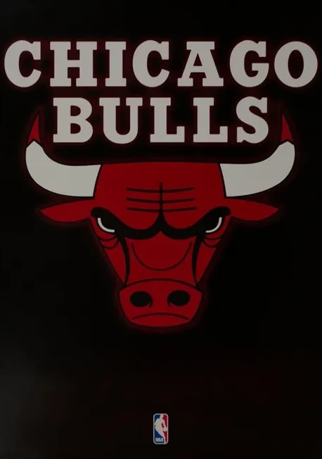 Chicago Bulls