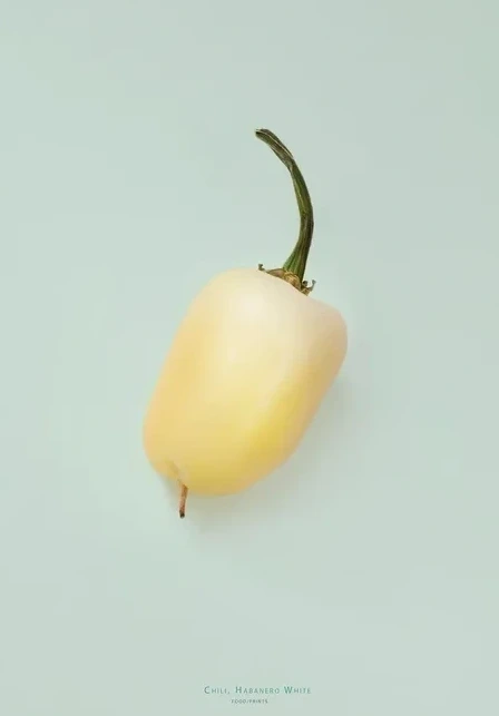Chili - Mos