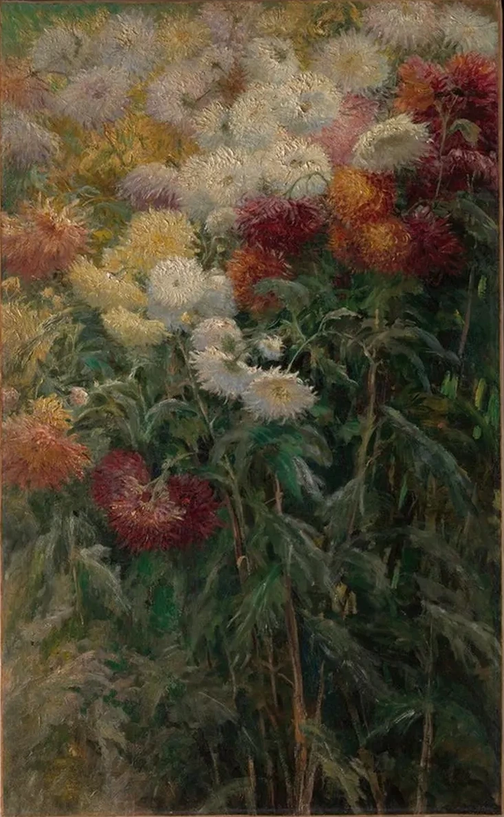 Chrysanthemums in the Garden at Petit - Gennevilliers