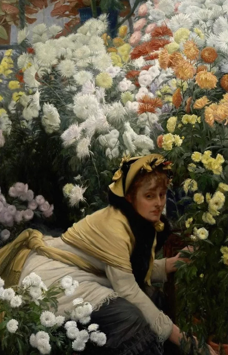 Chrysanthemums