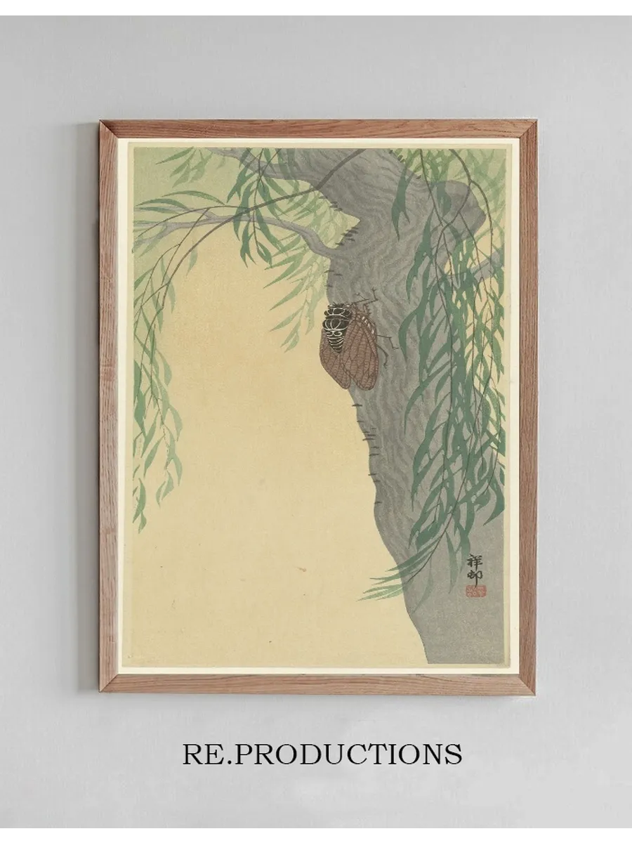 Cicada on Tree