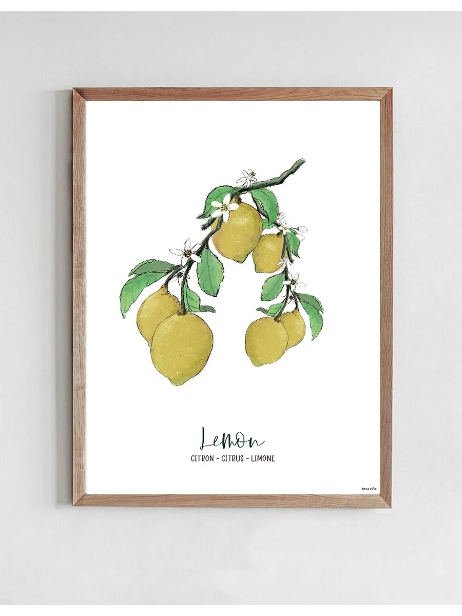 Citron - Lemon