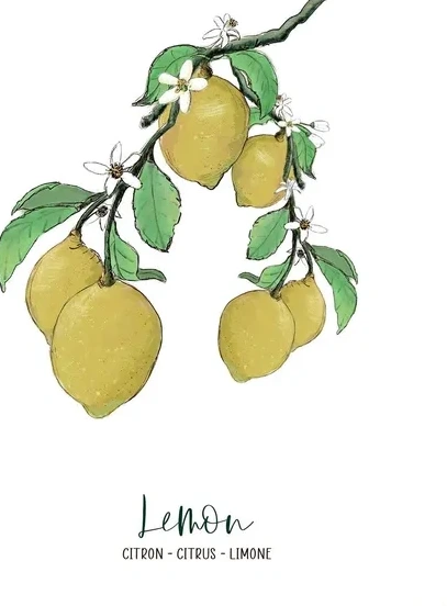 Citron - Lemon