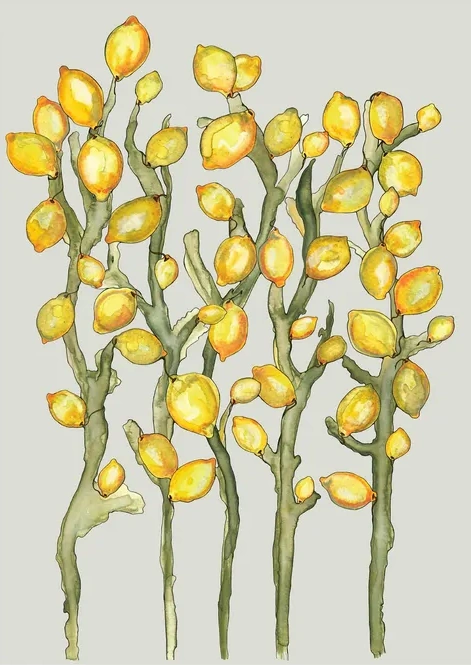 Citroner Som Blomster P Gren